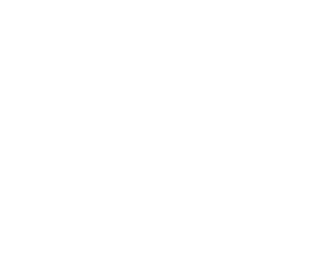 KYLogo only - White
